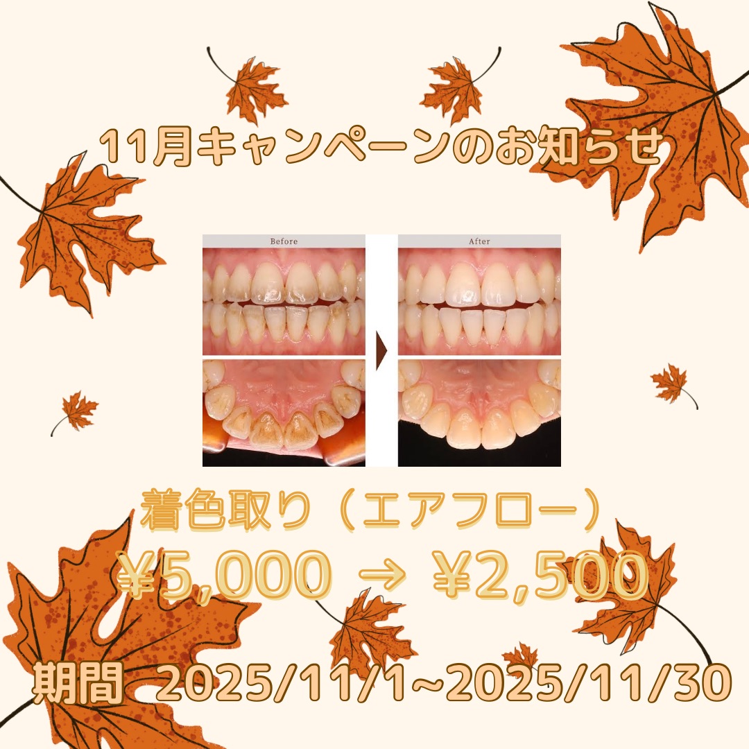 11月のキャンペーン🎃