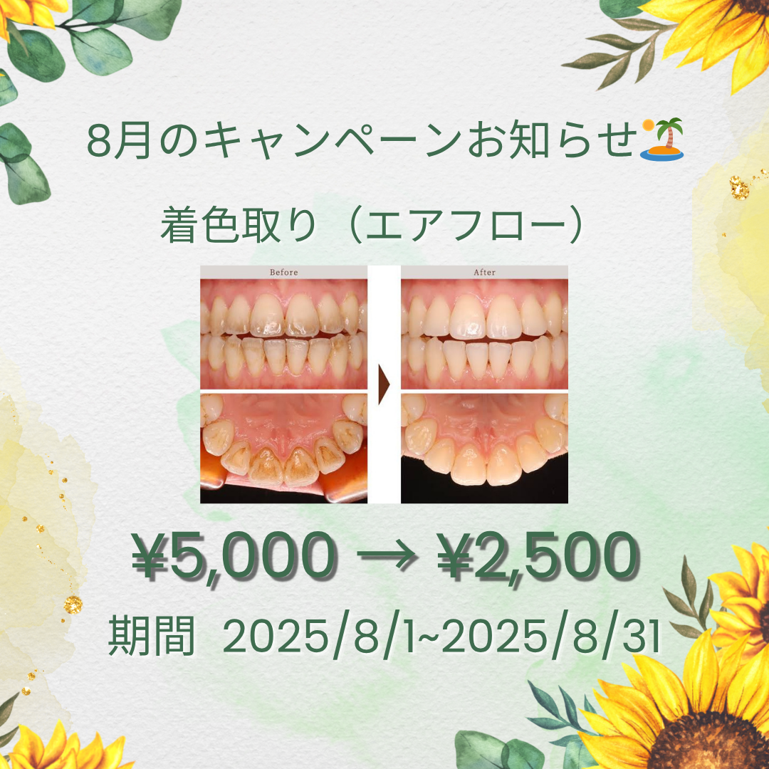 8月のキャンペーン🐬
