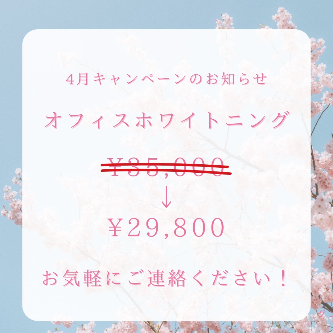 4月のキャンペーン🌸