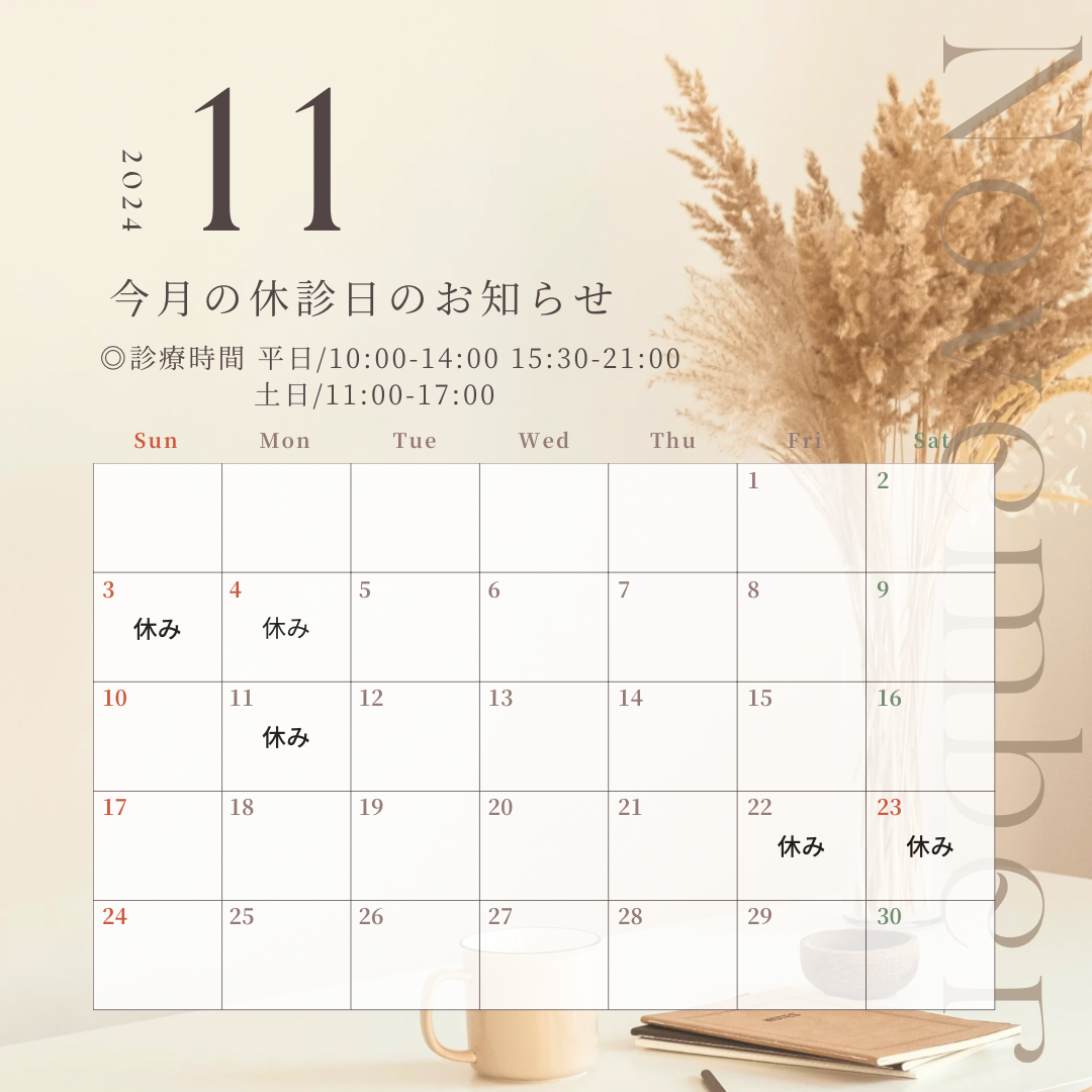 11月の休診日のお知らせです🕊️