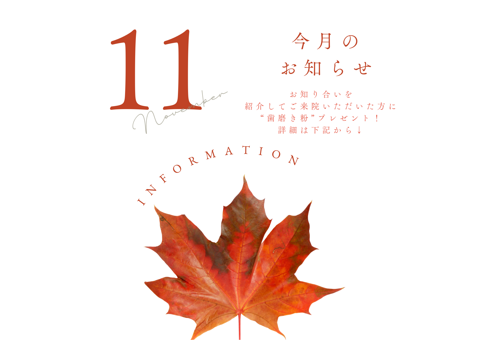 11月のお知らせです🍁🏔️