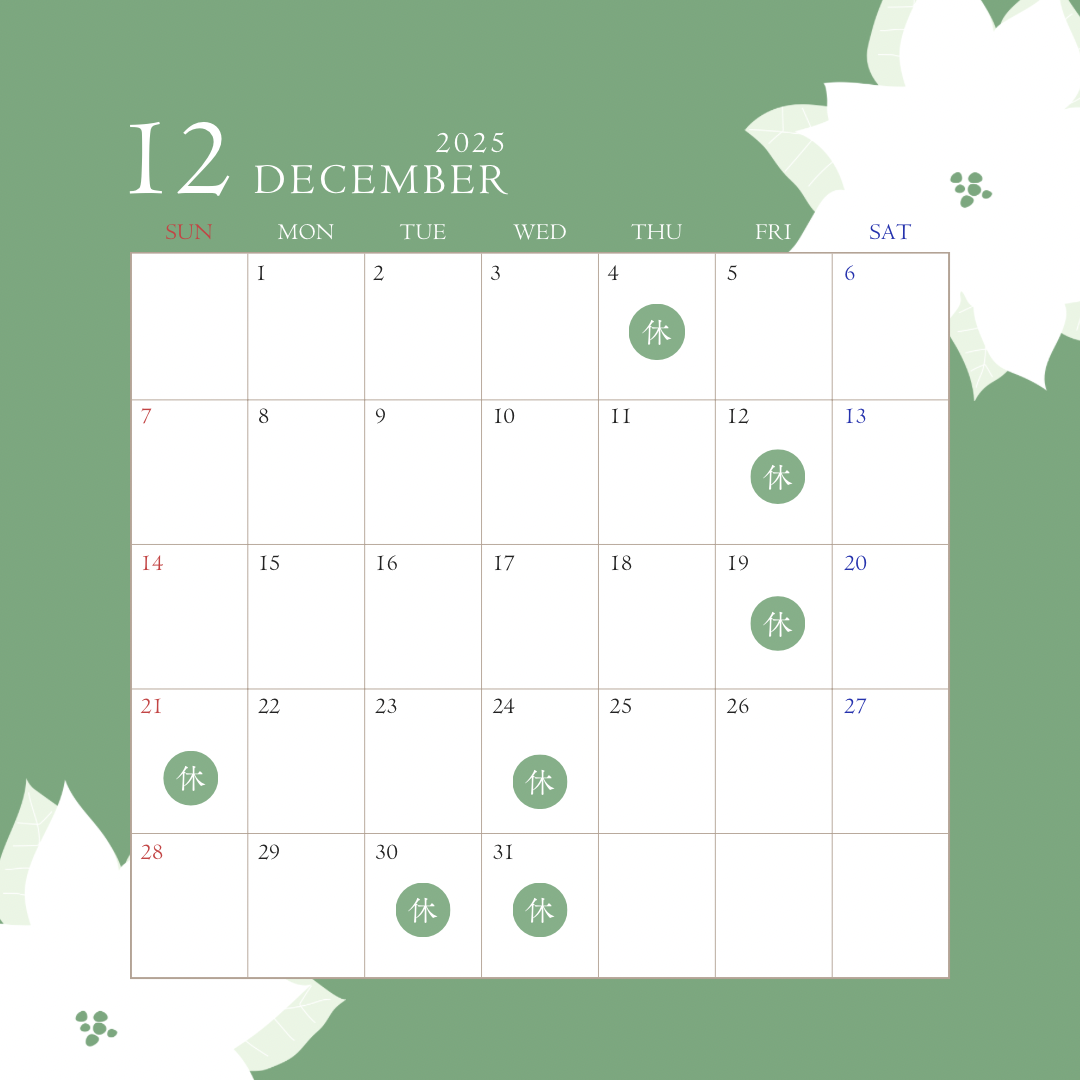12月休診日のお知らせ