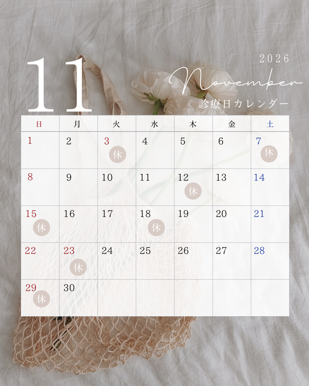 11月休診日のお知らせ